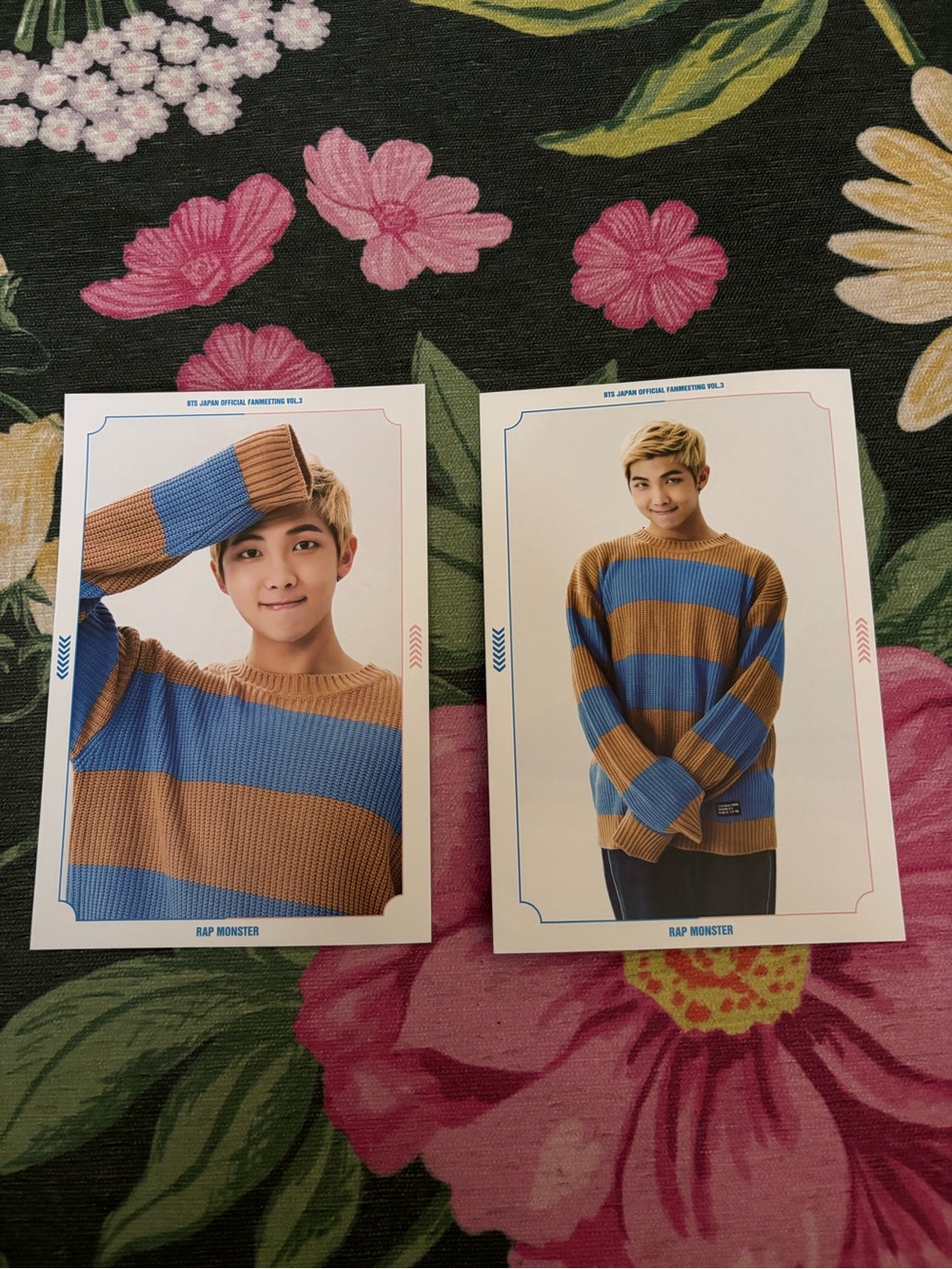 BTS Official Japan Fan Meeting Vol. 3 RM/Namjoon Postcards - Set of 2